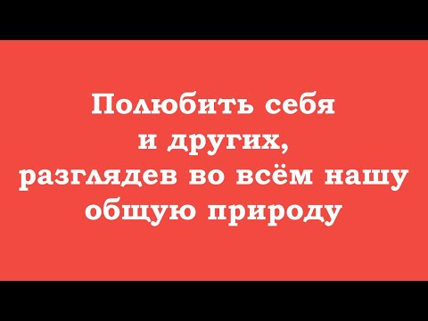 Видео: Полюбить себя и других, разглядев во всём нашу общую природу