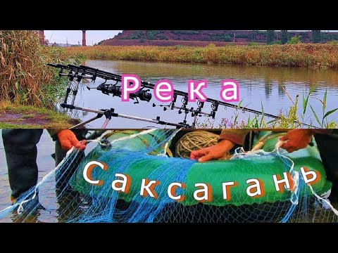 Видео: Рыбалка на реке которая кишит браконьерами.