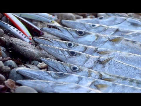 Видео: Тасос – острова на баракудите - част 2