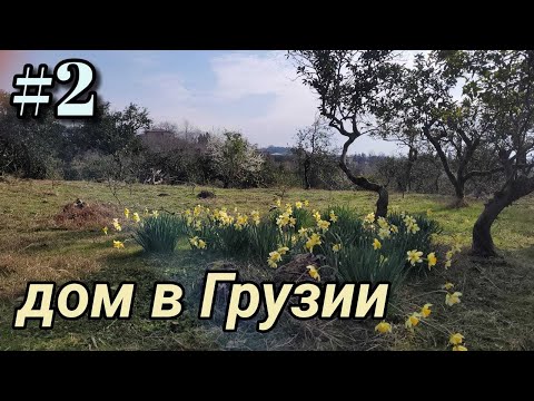 Видео: #2 Дом в Грузии