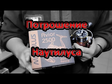 Видео: Катушки Nautilus Avior и Arta приехали в магазин; внимательно рассмотрим и сравним; приценимся