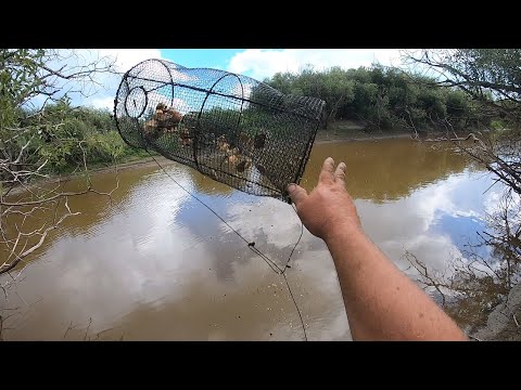 Видео: Рыбалка на Мордушку/Рыболовная  Верша/Ловля Судака на Мордушку