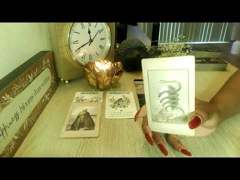 Видео: ДЕВА, ЗАГЛЯНИТЕ ВНУТРЬ. ЧТО ЭТО Я ВИЖУ 👀