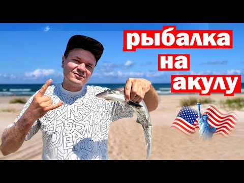 Видео: Морская рыбалка в Нью-Йорке на АКУЛУ, Форель и Камбалу