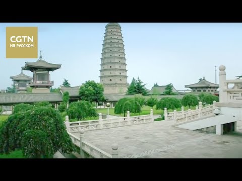 Видео: Фарфоровый путь Серия 2 Грезы Часть 2 [Age0+]