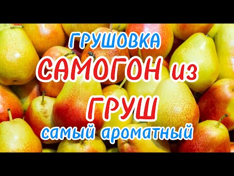 Видео: Грушовка. Самогон из груш видео рецепт. От А до Я.