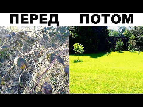 Видео: СОЗДАНИЕ ГАЗОНА НА ЦЕЛИНЕ,КОШЕНИЕ КУЛЬТИВАЦИЯ ВЫРАВНИВАНИЕ ЗАСЕВ в ДЕТАЛЯХ ВРУЧНУЮ,ОБУСТРОЙСТВО САДА