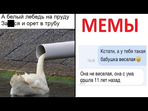 Видео: Лютые приколы. А белый лебедь на пруду задолбался и орет в трубу