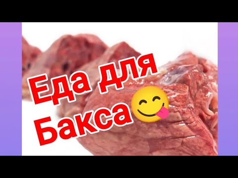 Видео: Работаю мясником🤪Бакс будет доволен