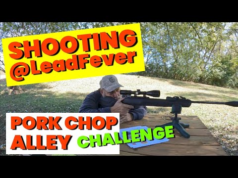 Видео: Снимаю испытание @LeadFever-T1X PORK CHOP ALLEY CHALLENGE с моим GAMO SWARM MAGNUM