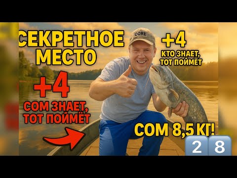 Видео: 🎣 Ловля сома на секретном месте