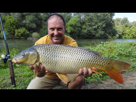 Видео: Емоции от острова