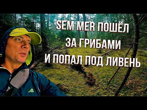 Видео: Sem Mer пошёл за грибами и попал под ливень !!!