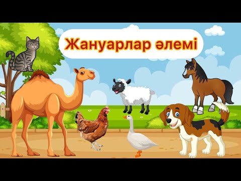 Видео: Үй жануарлары / Жануарлар әлемі