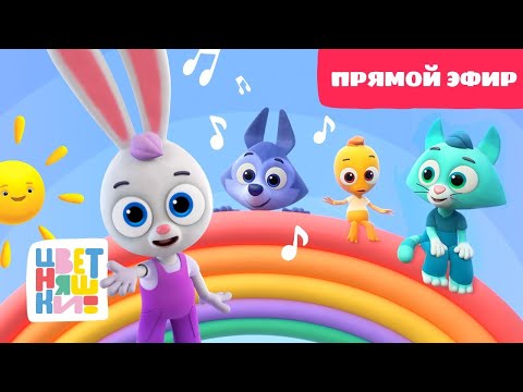 Видео: Все песенки подряд - Весёлые Выходные с Цветняшками - LIVE - Песенки, Игры и Безудержное Веселье! 😄🎉