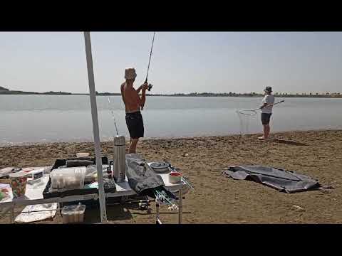 Видео: Рыбалка на толстолоба, июль 2024 г.