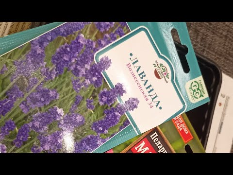 Видео: Сею лаванду и пеларгонии на рассаду🌸. Мой личный опыт.☝Кто то ворует мои цветы с дачи. 😩😥