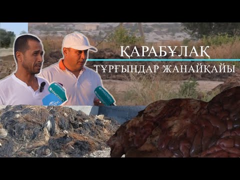 Видео: Арнайы репортаж| Қарабұлақ халқы сасық иіске тұншығып отыр