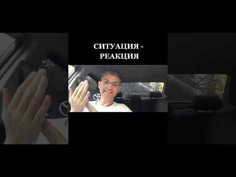 Видео: СИТУАЦИЯ - РЕАКЦИЯ
