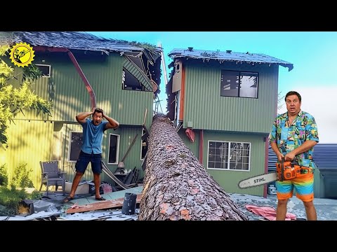 Видео: Идиоты с бензопилами: неудачная рубка деревьев и разрушение крыш #4
