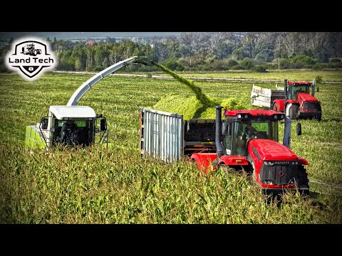 Видео: Старый CLAAS Jaguar 810 лучше, чем новый ДОН-680М? Заготовка кукурузы на силос 2025!