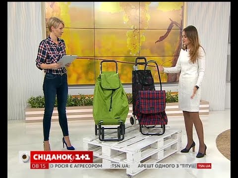 Видео: Выбираем стильную и удобную сумку на колесах - советы эксперта