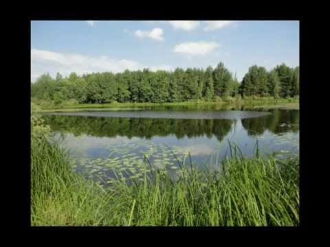 Видео: Ветлуга   любимая родина