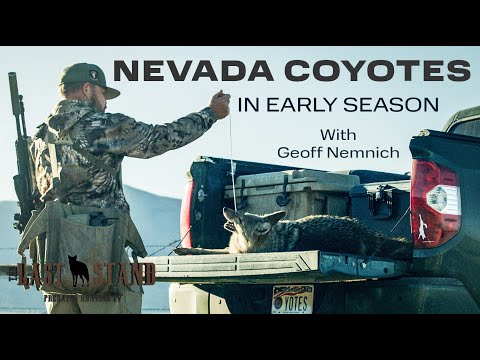 Видео: Начало сезона охоты на койотов в Неваде | Последний рубеж, сезон 6: Эпизод 4