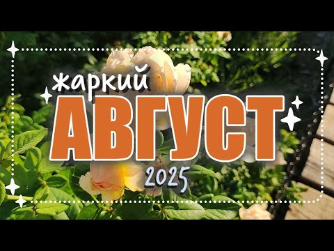 Видео: ✦ живу как могу целый август ✦ жара и хлопоты ✦