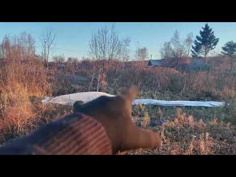 Видео: Дача купили обзор 