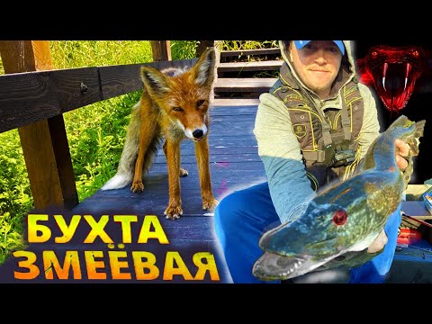 Видео: ГОРЯЧИЕ ИСТОЧНИКИ НА БАЙКАЛЕ.ЧИВЫРКУЙСКИЙ ЗАЛИВ 2022.БУХТА ЗМЕЁВАЯ.ВСТРЕТИЛИ ЛИСУ.РЫБАЛКА НА ЩУКУ.