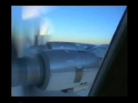 Видео: Николай Анисимов. МЕДВЕДИ