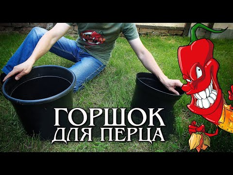 Видео: Горшок для перца. Размер имеет значение.