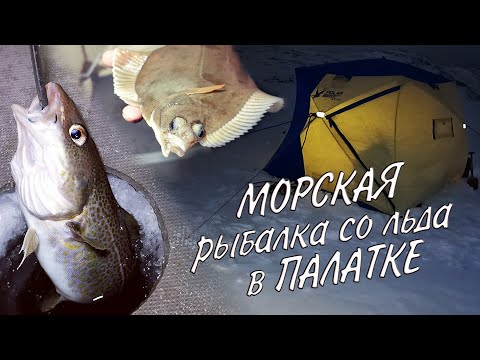 Видео: МОРСКАЯ НОЧНАЯ РЫБАЛКА СО ЛЬДА В ПАЛАТКЕ / SEA NIGHT FISHING WITH ICE IN A TENT