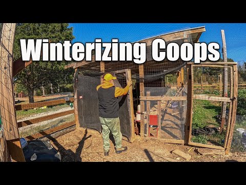 Видео: Подготовка курятника к зиме. Стоит ли отапливать курятник?