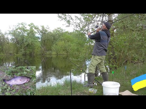 Видео: Вечірня рибалка # ЛЯЩ# КАРАСЬ #РибачуЯкУмію
