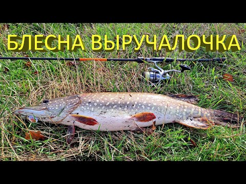Видео: 🔥 БЛЕСНА маленькая, а ЩУКА БОЛЬШАЯ! Спиннинг в дугу и КАЙФ от вываживания ЩУКИ 5 кг на тонком шнуре🔥