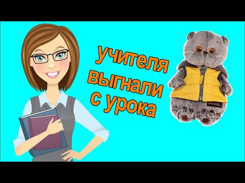 Видео: К БАСИКАМ пришёл на урок новый учитель. Директор выгнала Фаину Валерьевну / Школа Басиков
