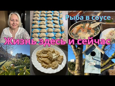 Видео: VLOG🇩🇪Вкусные мамины вареники/Болталка/Детокс без интернета/Не обидчивая я/Лосось на ужин