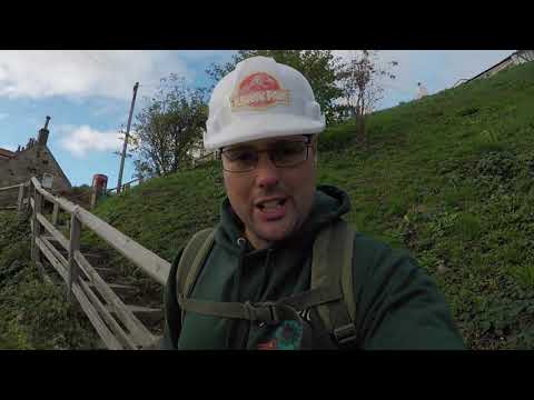 Видео: Благотворительная акция Runswick Bay 2025 #окаменелости #аммониты