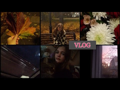 Видео: влог:красивые моменты, снова перемены, снова переезд, мысли