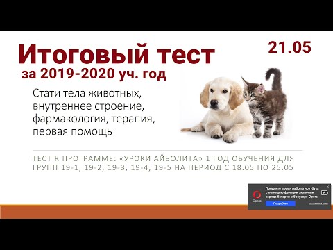 Видео: Итоговый тест за 2019-2020 учебный год