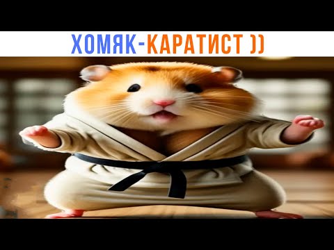 Видео: ХОМЯК-КАРАТИСТ ))) Приколы с хомяками | Мемозг 1435
