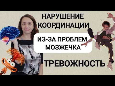 Видео: Мозжечок | Влияние на тело, движение и нервную систему | Теория и практика