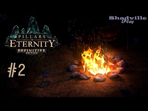 Видео: Вейлвуд ⚔ Pillars of Eternity Прохождение игры #2