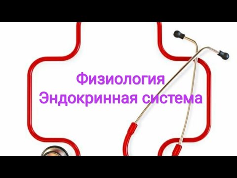 Видео: Физиология. Регуляция эндокрынной системы.