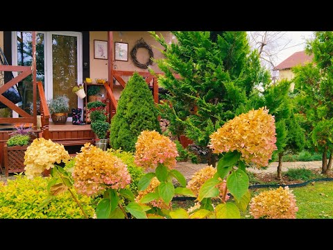 Видео: Хотим жить в лесу🌲Уютный день с кухней, садом и беседами