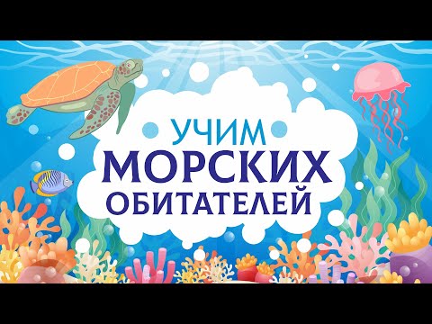 Видео: Морские животные. Учим обитателей моря. Карточки Домана