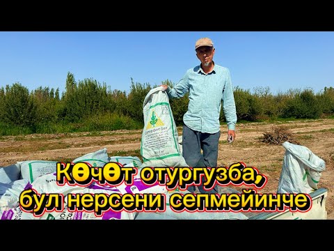 Видео: Кочот отургузба, бул нерсени сепмейинче