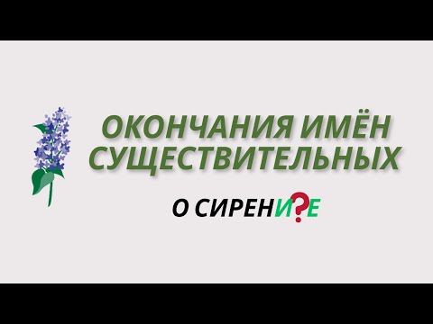 Видео: Окончания имён существительных. Падежные окончания имён существительных.